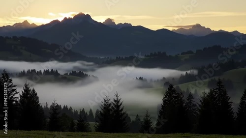 Golden sunrise illuminates misty mountains and evergreen forest.