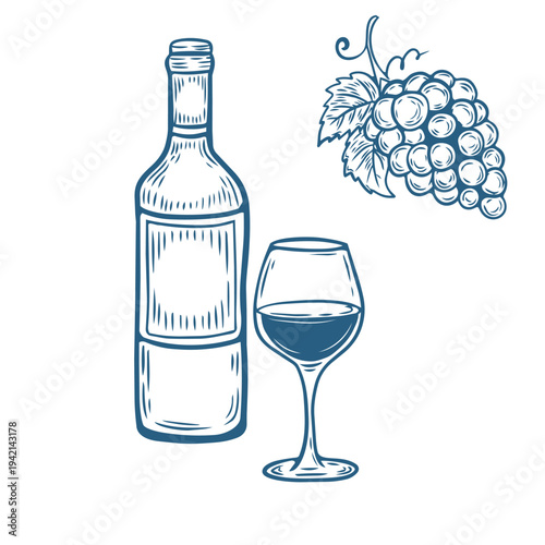 Wine bottle, glass and grapes line art illustration, hand drawn winery drink vector, vintage alcohol beverage sketch