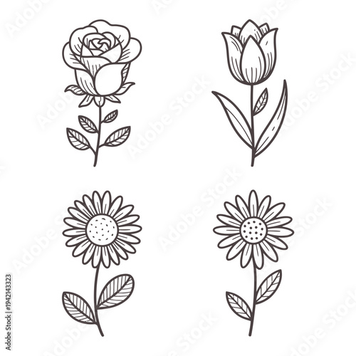 Botanical Flower Sketches Hand Drawn - Rose, Tulip, Sunflower Icons
