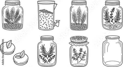 Collection of hand-drawn glass jars filled with grains, herbs, and seeds for preservation