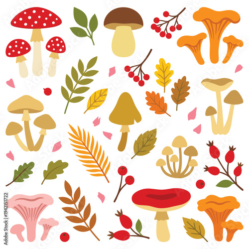 Autumn forest mushroom collection with dry leaves and red wild berries