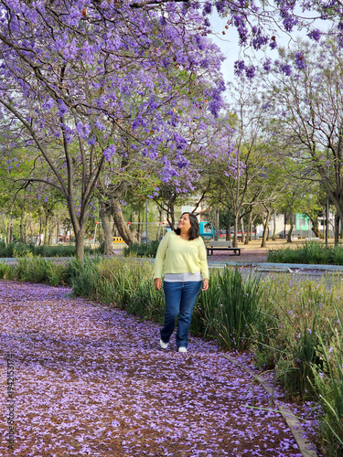 Latina adult woman walks through the park among jacaranda trees with purple flowers, calm and relaxed