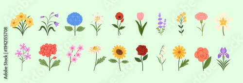 Colorful Spring Flowers Botanical Illustration Pack