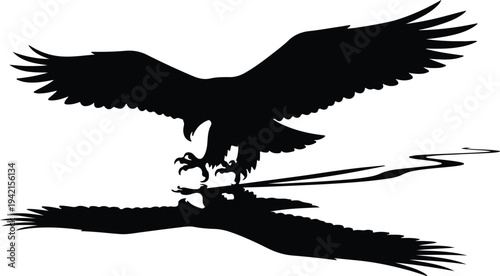 Vector eagle in flight with reflection on water silhouette design