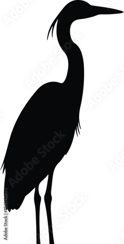 Vector elegant heron bird silhouette standing on legs design