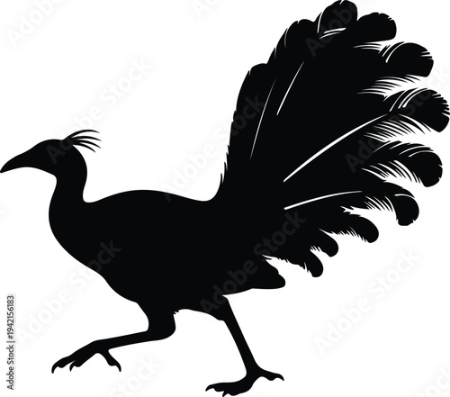 Vector elegant wild bird with fanned tail feathers black silhouette design