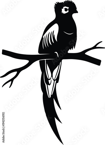 Vector exotic resplendent quetzal bird perched on tree branch silhouette design