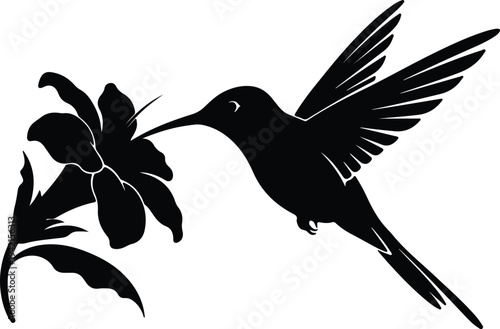 Vector hummingbird drinking nectar from flower silhouette design
