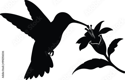 Vector hummingbird feeding on flower silhouette design