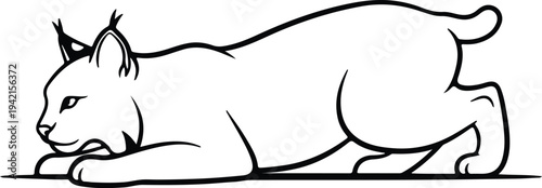 Vector illustration of a lynx resting on a flat surface silhouette design