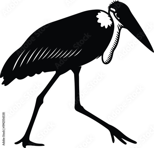 Vector marabou stork walking elegantly silhouette design