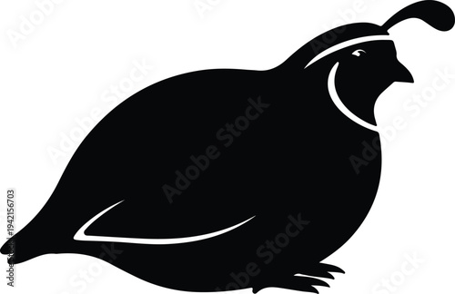 Vector quail bird stylized silhouette isolated on white background design