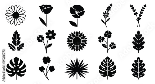 A collection of black and white illustrations of various flowers and plants