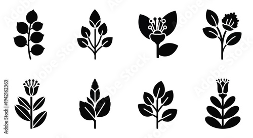 A collection of nine different types of leaves and flowers in black and white