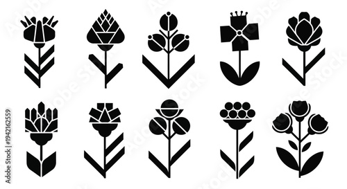 A collection of twelve black and white floral designs featuring various flower types.