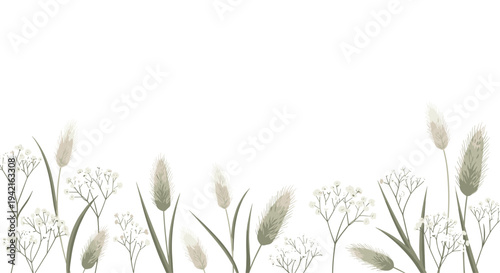 A decorative border of various tall, feathery grasses and small white flowers extends along the bottom edge of a clean white background.