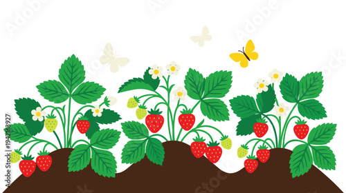 Strawberry plants growing in soil with flowers and butterflies icon