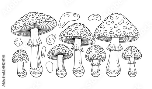 Decorative Amanita Muscaria Mushroom Line Art Collection – Black and White Coloring Vector