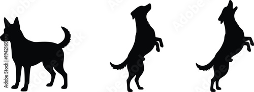 Dog silhouette set showing standing and jumping canine poses isolated on light background minimalist vector illustration for pet and animal design