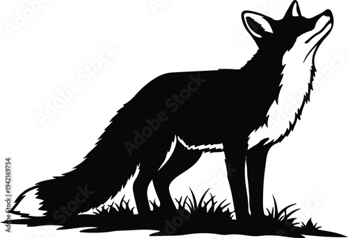 Vector black fox standing in grass looking up silhouette design
