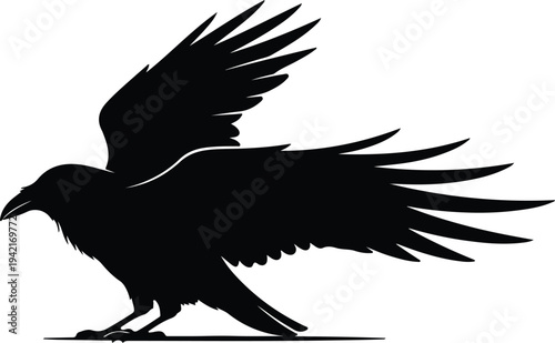 Vector black raven crow with open wings silhouette design
