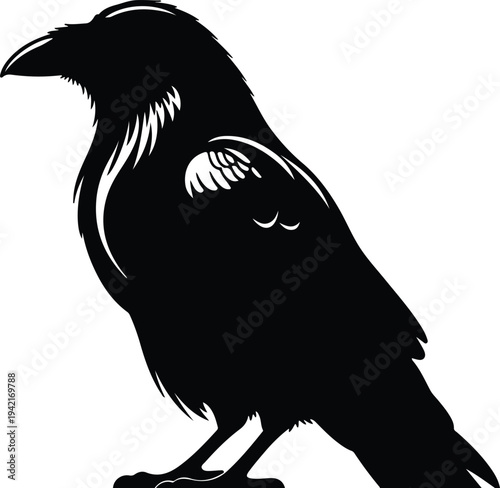 Vector black silhouette of a raven perched on a white background silhouette design