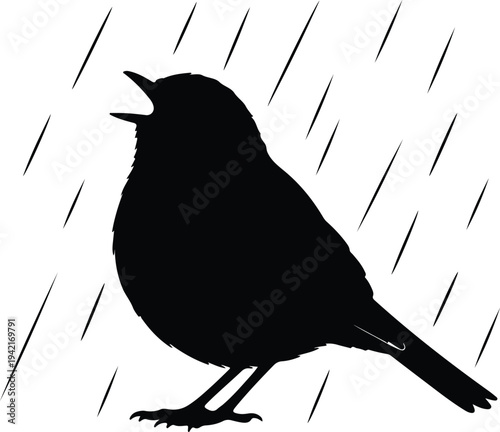Vector black silhouette of a singing bird in the rain silhouette design