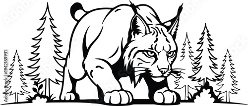 Vector fierce lynx prowling among pine trees silhouette design