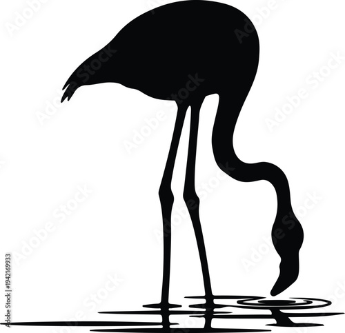 Vector flamingo drinking water silhouette design elegant curves slender legs