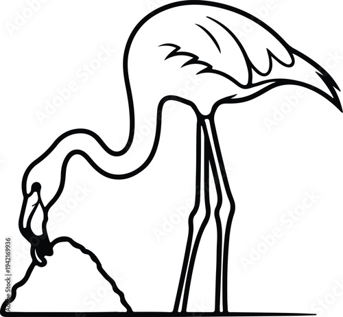 Vector Flamingo silhouette design eating from pile silhouette design