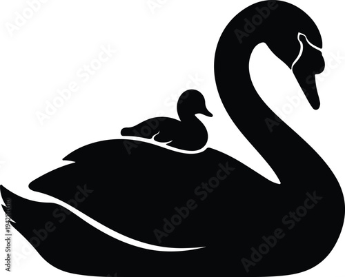Vector silhouette mother swan with duckling on back design