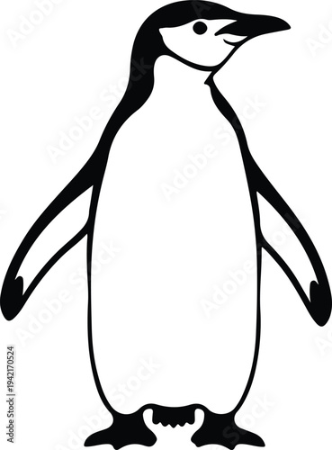 Vector simple penguin illustration standing gracefully on white background silhouette design