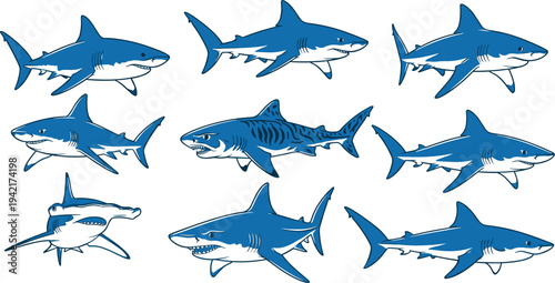 Shark Silhouette Collection Set Featuring Various Ocean Predator Species in Different Pose
