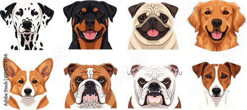 Popular Dog Breeds Face Portrait Collection Vector Illustration Set Isolated on White Background