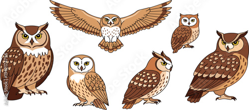 Realistic Owl Illustration Set with Flying and Perched Poses Detailed Brown Forest Bird Vector Collection