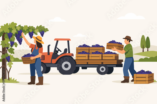 Farmers Harvesting Ripe Purple Grapes in a Vineyard, Loading Wooden Crates onto a Tractor Trailer in a Rural Countryside Landscape, Flat Vector Illustration of Agricultural Workers and Viticulture.