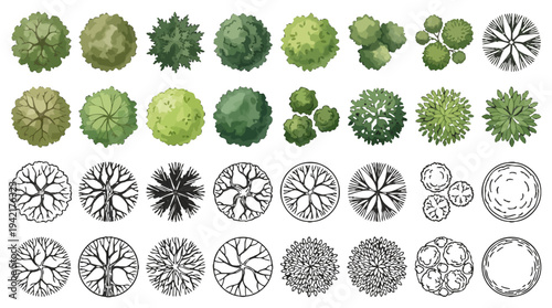 Top View of Various Trees and Bushes in a Flat Design Style