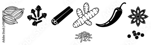 Indian spices and aromatic herbs collection in detailed black and white line art style