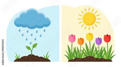 The Essence of Spring Nurturing Rain Cloud and Bright Sunshine Fostering Botanical Life Cycle and Vibrant Blooms