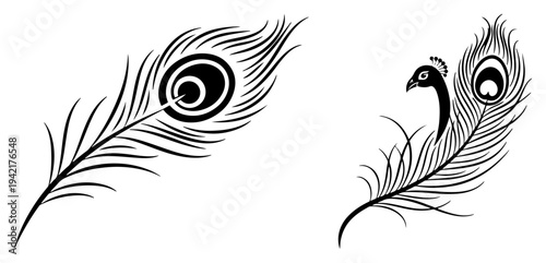 Peacock feathers with stylized bird head silhouette in black and white line art