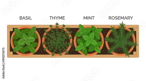 Top-down view of fresh culinary herbs in a wooden planter basil, thyme, mint, rosemary