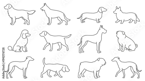 Elegant Vector Line Art Collection Featuring Diverse Dog Breeds in Outline Style for Pet Design