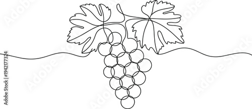 Continuous Line Art of Grapes with Leaves and Stem on a Wavy Line Background Keywords: grapes, bunch of grapes, fruit, food, healthy, organic, vine, vineyard, wine, drawing, illustration, line