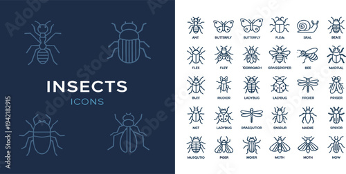 Insects Icon Set with Beetle Butterfly Ant Mosquito and Fly Line Art Collection for Nature Biology Education Pest Control and Web Design