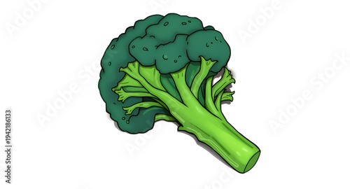 broccoli, vegetable, cartoon, illustration, food, green, healthy, nutrition, organic, fresh, veggie, plant, farm, harvest, diet, cooking, kitchen, meal, ingredient, vegan, vegetarian, natural, garden,