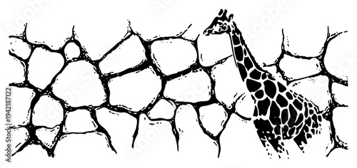Detailed hand drawn giraffe illustration set against a cracked stone pattern background