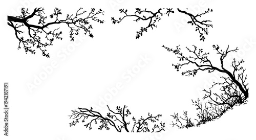 Hand drawn black ink illustration of bare tree branches forming a decorative frame