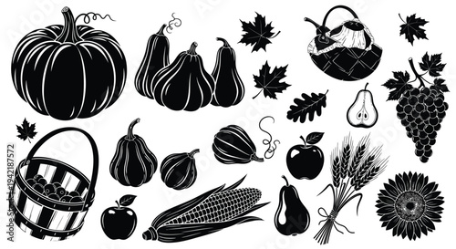 Harvest bounty illustration displays pumpkins, gourds, corn, wheat, and fruit in a.