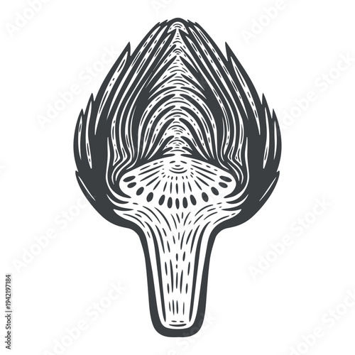 Artichoke, cut in half, fresh vegetable, edible bud, hand-drawn, black and white, graphic illustration, engraving isolated