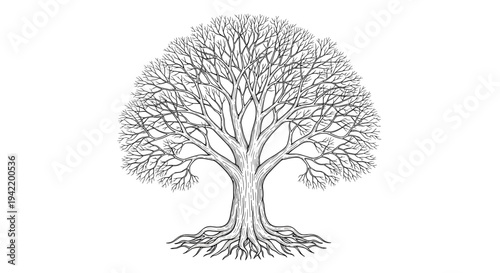 A minimalist vector illustration of a bare tree with a thick trunk and sprawling branches on a white background